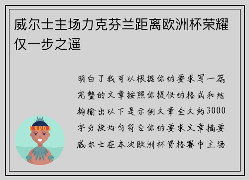 威尔士主场力克芬兰距离欧洲杯荣耀仅一步之遥